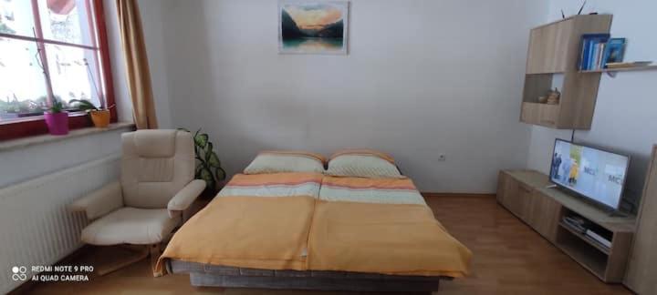 Apartmaji Bostjan Pristavec Kranjska Gora Extérieur photo